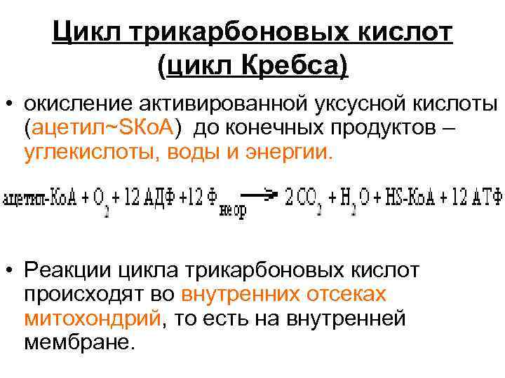 Реакции цикла. Конечные продукты окисления углеводов. Конечным продуктом окисления углеводов является. Продукты цикла трикарбоновых. Конечные продукты реакции ЦТК.