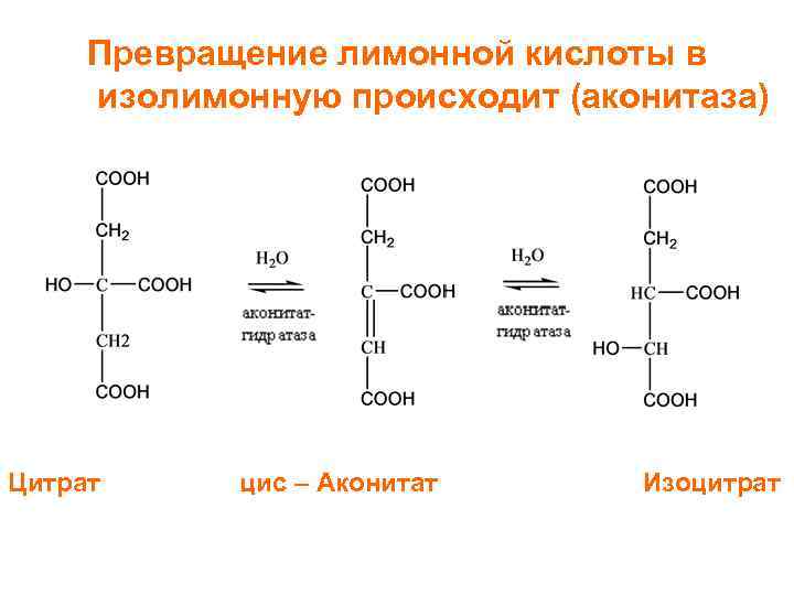 Превращение лимонной кислоты в изолимонную происходит (аконитаза) Цитрат цис – Аконитат Изоцитрат 