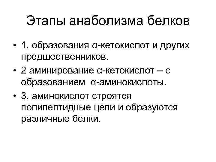 Этапы анаболизма белков • 1. образования α-кетокислот и других предшественников. • 2 аминирование α-кетокислот