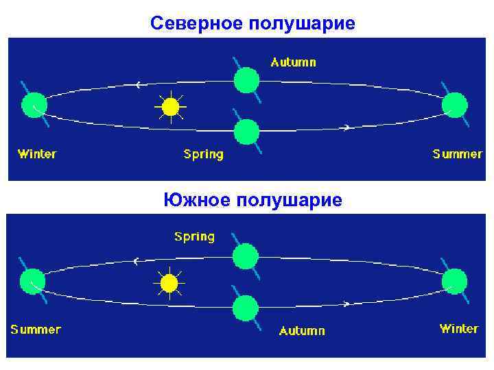 Северное полушарие Южное полушарие 