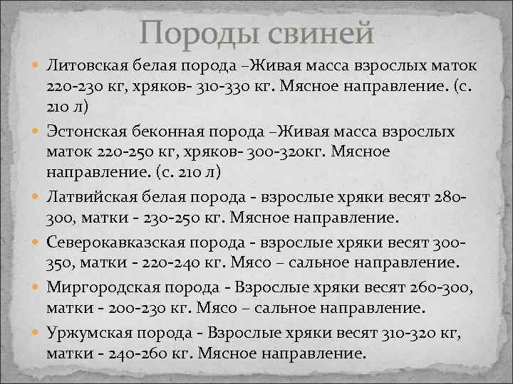 Породы свиней Литовская белая порода –Живая масса взрослых маток 220 -230 кг, хряков- 310