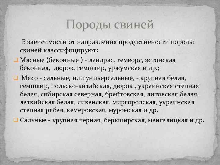 Породы свиней В зависимости от направления продуктивности породы свиней классифицируют: q Мясные (беконные )