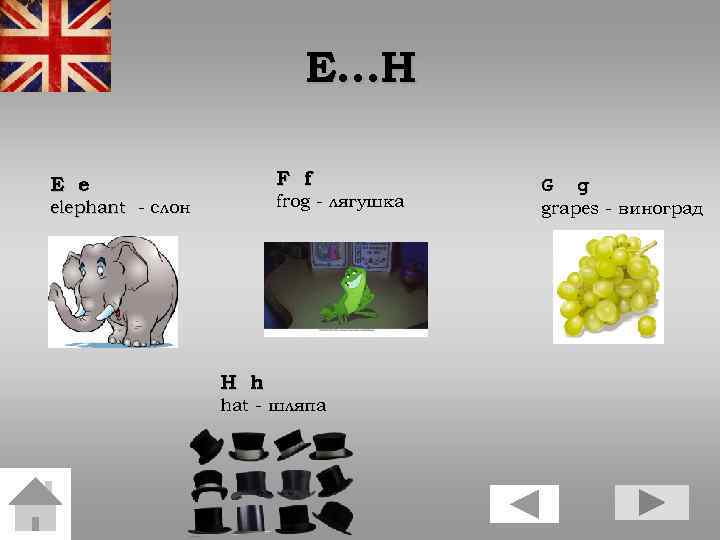 E…H F f E e frog - лягушка elephant - слон H h hat