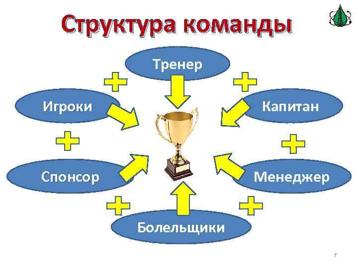 Структура команды Тренер Игроки Капитан Спонсор Менеджер Болельщики 7 