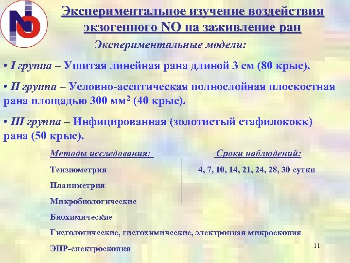 Экспериментальное изучение воздействия экзогенного NO на заживление ран Экспериментальные модели: • I группа –