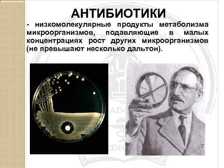 АНТИБИОТИКИ - низкомолекулярные продукты метаболизма микроорганизмов, подавляющие в малых концентрациях рост других микроорганизмов (не