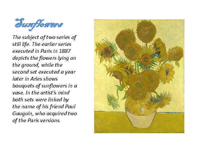 Sunflowers The subject of two series of still life. The earlier series executed in
