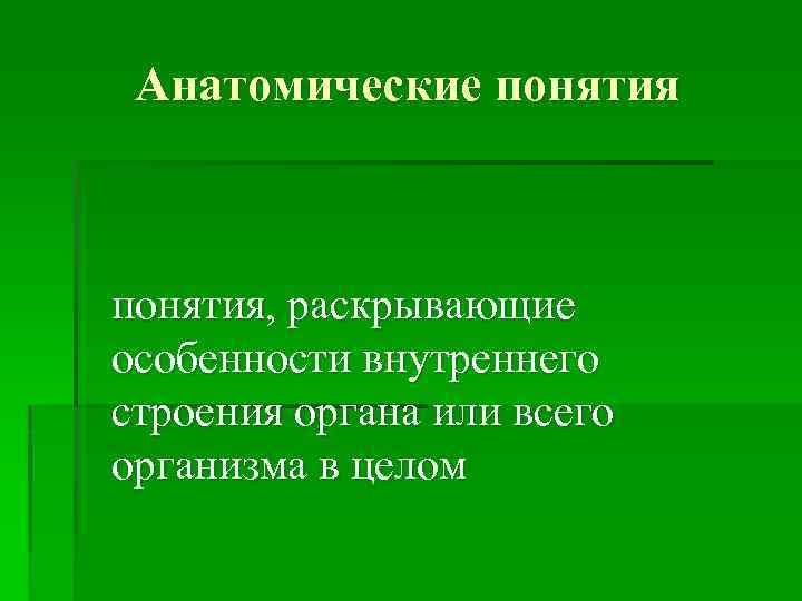 Анатомические понятия, раскрывающие особенности внутреннего строения органа или всего организма в целом 