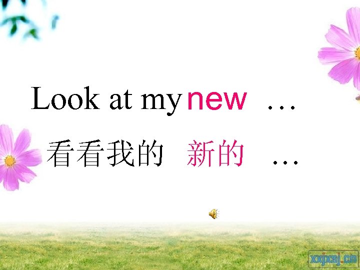 Look at my new … 看看我的 新的 … 