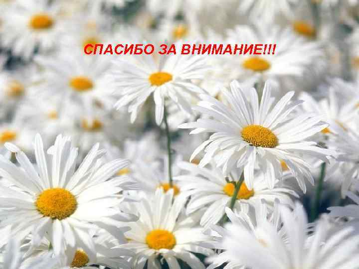 СПАСИБО ЗА ВНИМАНИЕ!!! 