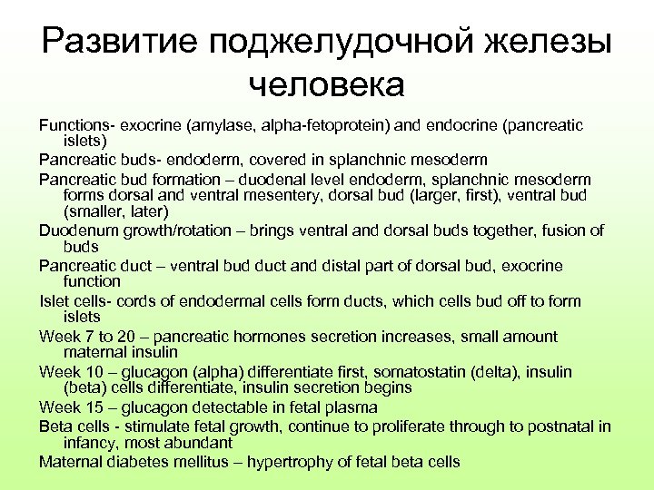 Развитие поджелудочной железы человека Functions- exocrine (amylase, alpha-fetoprotein) and endocrine (pancreatic islets) Pancreatic buds-