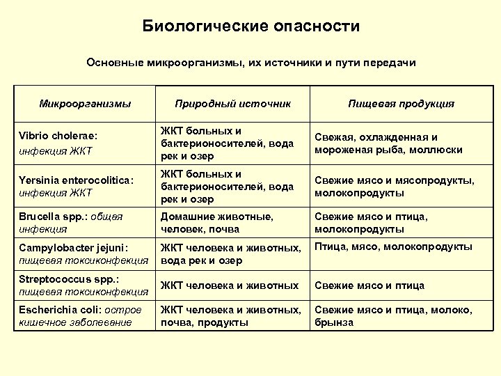 Биологические опасности бжд презентация