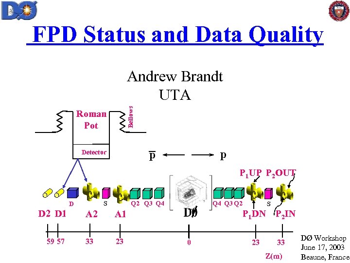 FPD Status and Data Quality Bellows Andrew Brandt UTA Roman Pot p p Detector