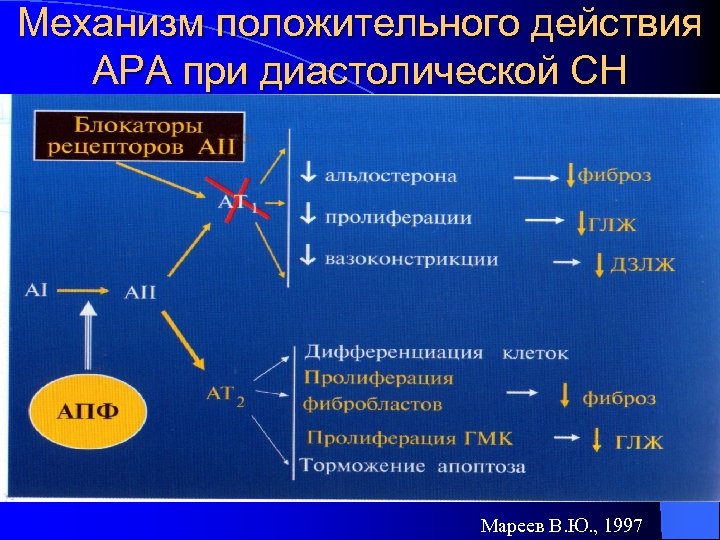Механизм положительного действия АРА при диастолической СН Мареев В. Ю. , 1997 
