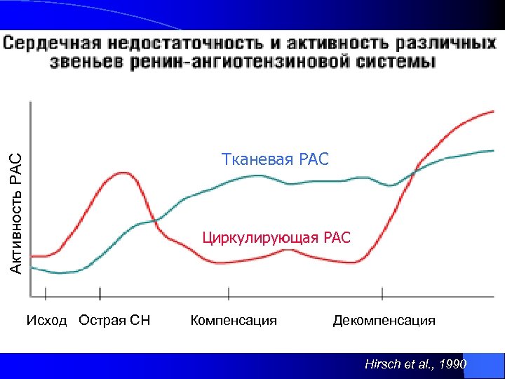 Активность РАС Тканевая РАС Циркулирующая РАС Исход Острая СН Компенсация Декомпенсация Hirsch et al.