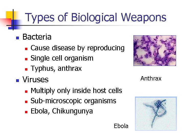 Types of Biological Weapons n Bacteria n n n Cause disease by reproducing Single