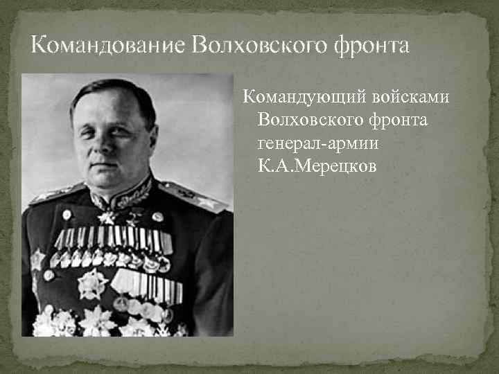 Командование Волховского фронта Командующий войсками Волховского фронта генерал-армии К. А. Мерецков 