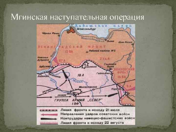 Мгинская наступательная операция 