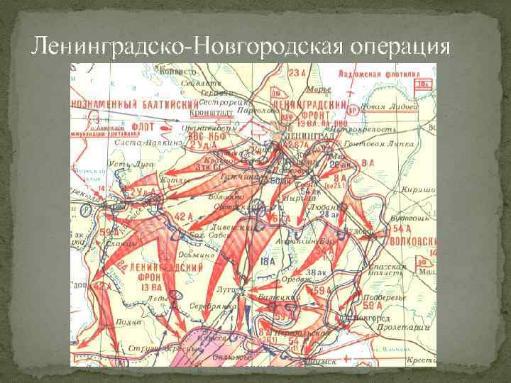 Ленинградско-Новгородская операция 