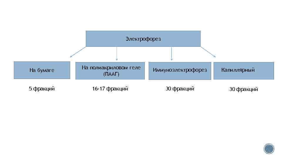 Электрофорез На бумаге На полиакриловом геле (ПААГ) Иммуноэлектрофорез 5 фракций 16 -17 фракций 30