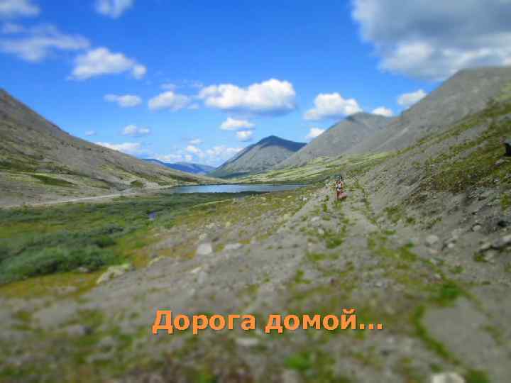 Дорога домой… 