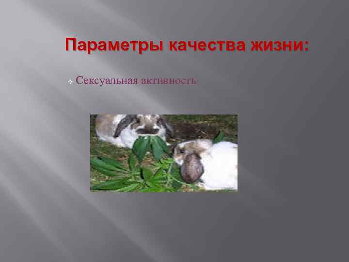 Параметры качества жизни: v Сексуальная активность 