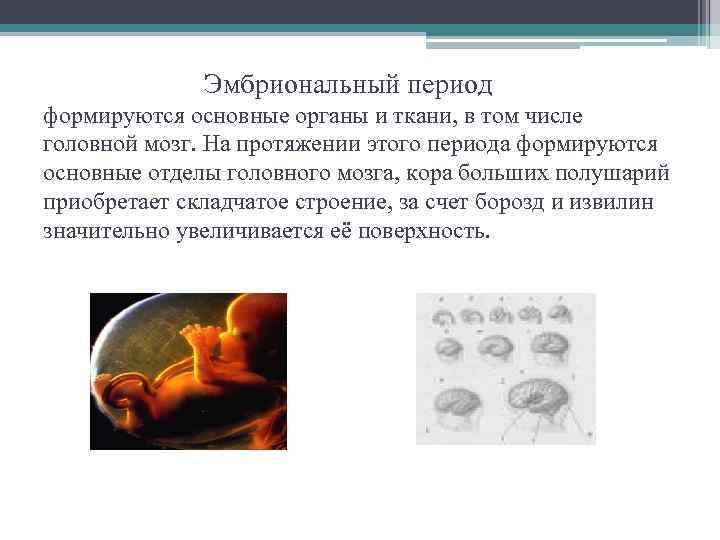 Антенатальный период. Эмбриональный период это период. Внутриутробный период и период новорожденности. Продолжительность эмбрионального развития.