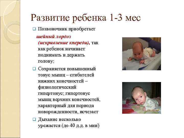Развитие ребенка 1 -3 мес Позвоночник приобретает шейный лордоз (искривление кпереди), так как ребенок
