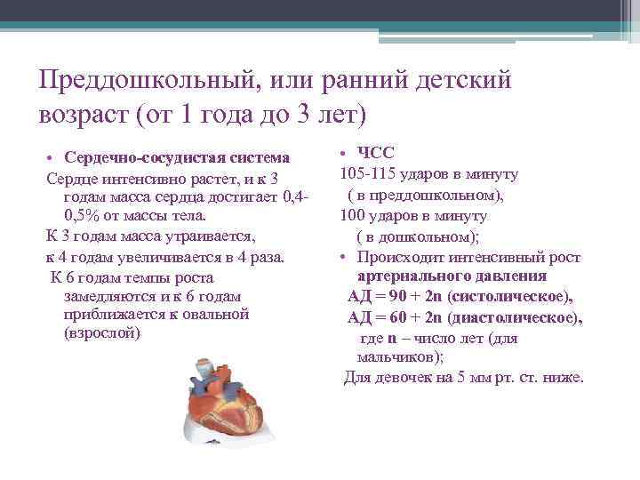 Возраст органа. Сердечно сосудистая система преддошкольного возраста. Преддошкольный Возраст ССС. Анатомо-физиологические особенности детей преддошкольного возраста. Преддошкольный Возраст сердечно-сосудистая.