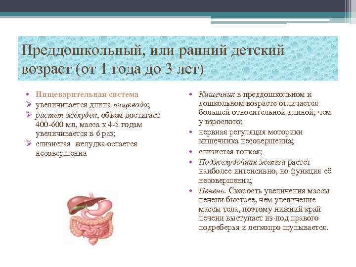 Преддошкольный, или ранний детский возраст (от 1 года до 3 лет) • Пищеварительная система