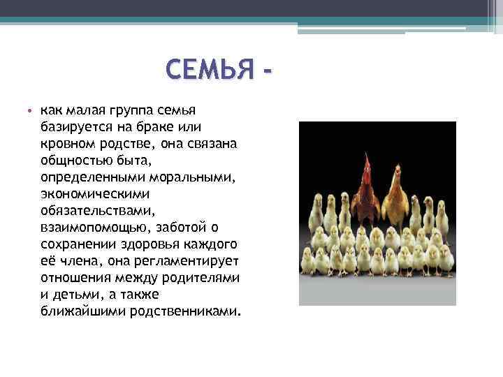 СЕМЬЯ • как малая группа семья базируется на браке или кровном родстве, она связана