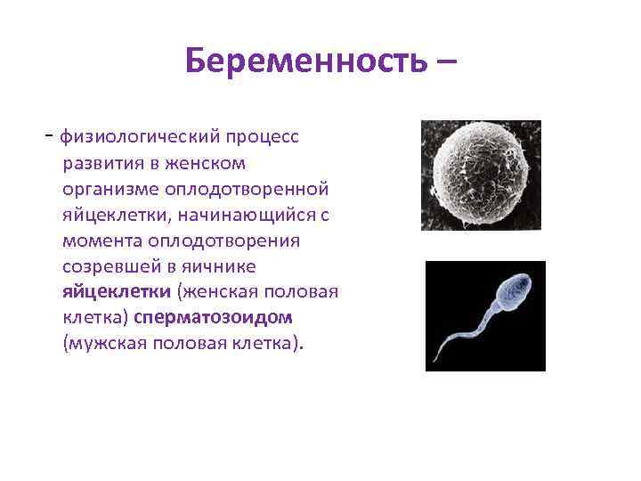 Беременность – - физиологический процесс развития в женском организме оплодотворенной яйцеклетки, начинающийся с момента