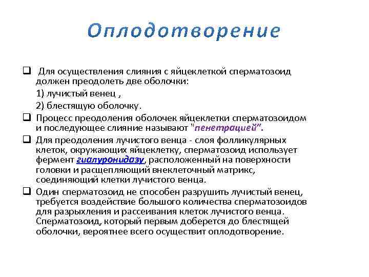 q Для осуществления слияния с яйцеклеткой сперматозоид должен преодолеть две оболочки: 1) лучистый венец