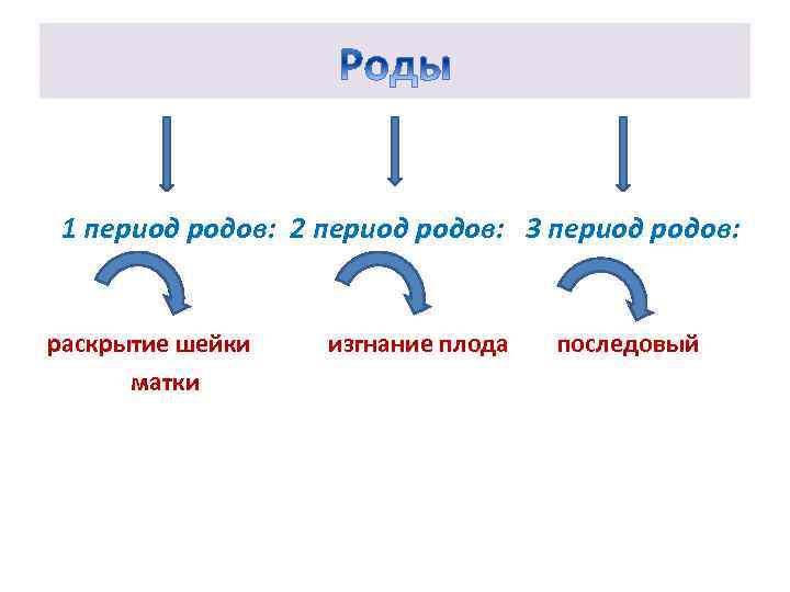 1 период родов: 2 период родов: 3 период родов: раскрытие шейки матки изгнание плода