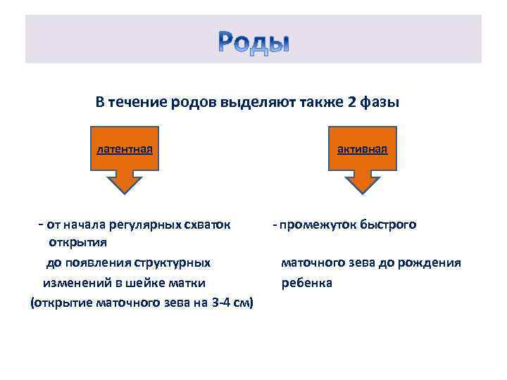 Течении какой род. Фазы родов. Латентная фаза родов. Течение родов. Родовые схватки интервал.