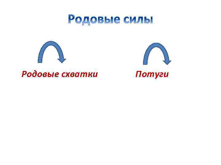 Родовые схватки Потуги 