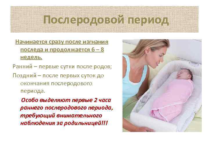 Послеродовой период Начинается сразу после изгнания последа и продолжается 6 – 8 недель. Ранний