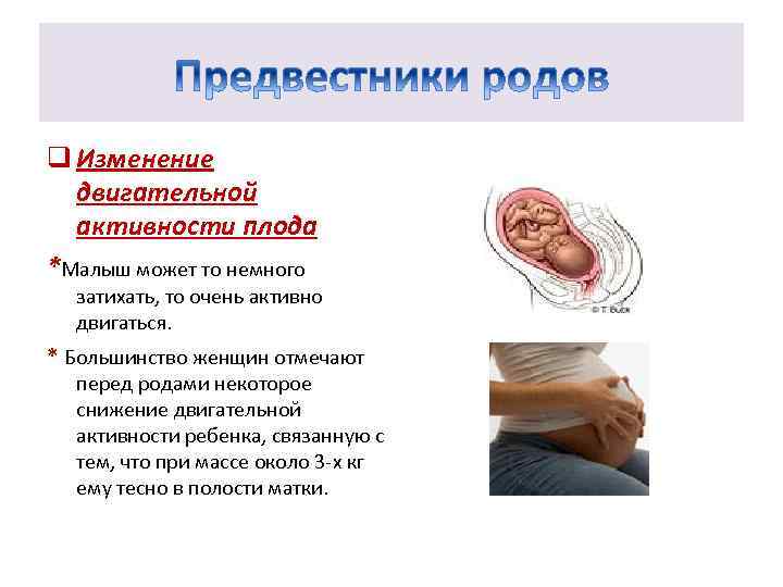 q Изменение двигательной активности плода *Малыш может то немного затихать, то очень активно двигаться.