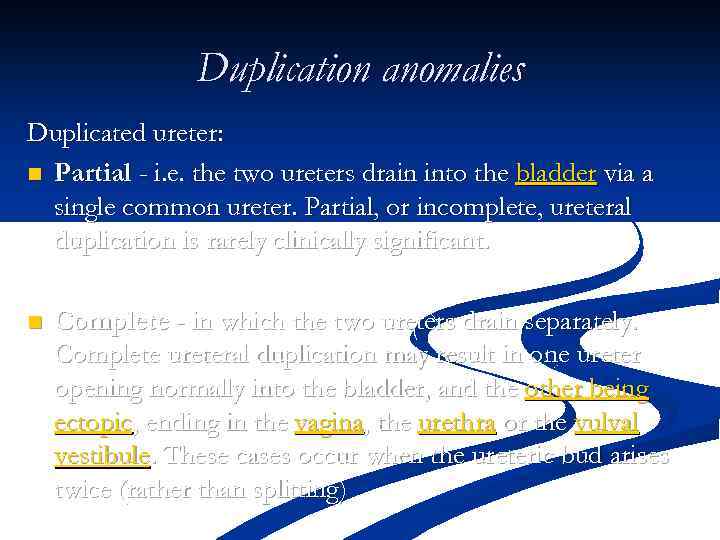 Duplication anomalies Duplicated ureter: n Partial - i. e. the two ureters drain into