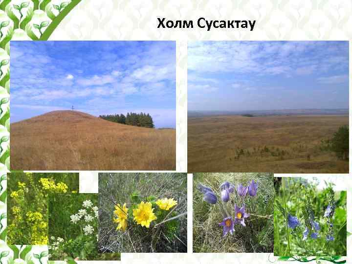 Холм Сусактау 