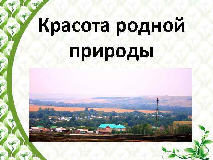 Красота родной природы 