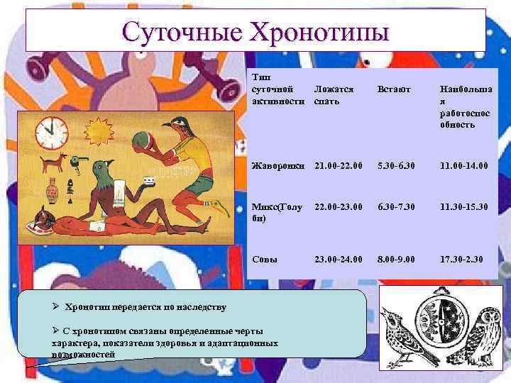 Суточные Хронотипы Тип суточной активности Встают Наибольша я работоспос обность Жаворонки 21. 00 -22.