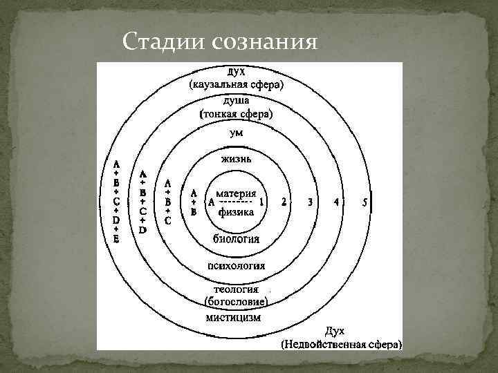 Стадии сознания 