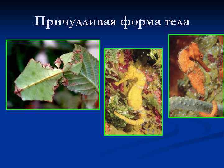 Причудливая форма тела 