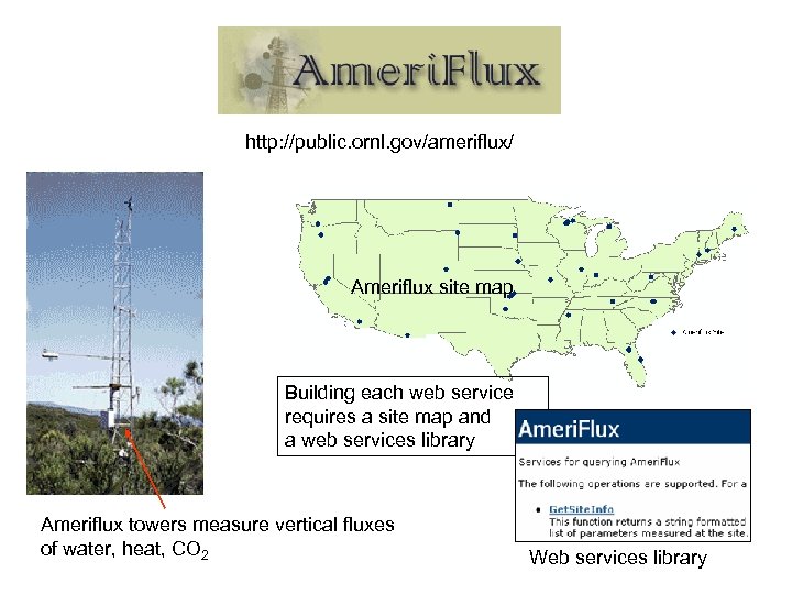 http: //public. ornl. gov/ameriflux/ Ameriflux site map Building each web service requires a site