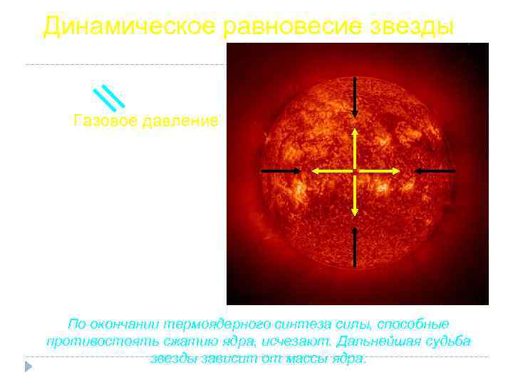 Динамическое равновесие звезды Гравитация Газовое давление По окончании термоядерного синтеза силы, способные противостоять сжатию