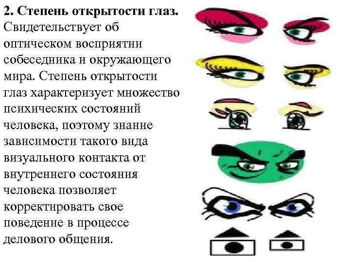 2. Степень открытости глаз. Свидетельствует об оптическом восприятии собеседника и окружающего мира. Степень открытости