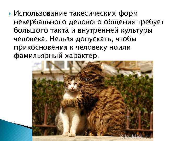  Использование такесических форм невербального делового общения требует большого такта и внутренней культуры человека.