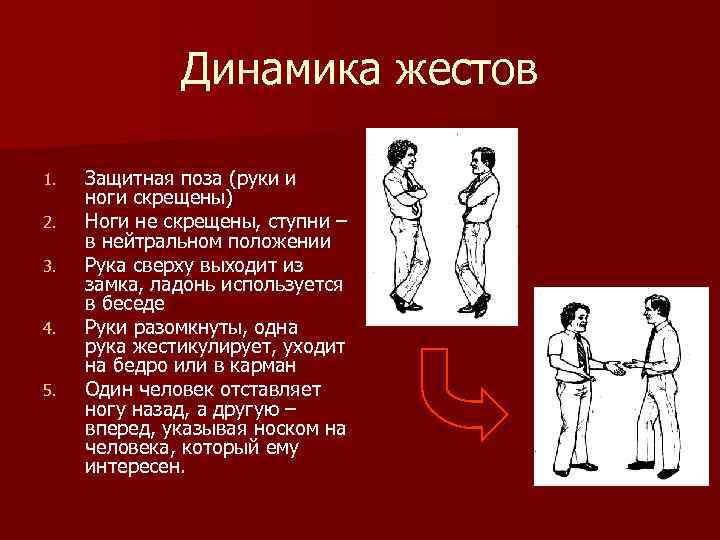 Динамика жестов 1. 2. 3. 4. 5. Защитная поза (руки и ноги скрещены) Ноги