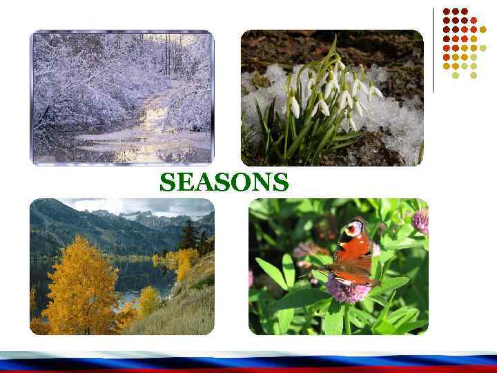 SEASONS 